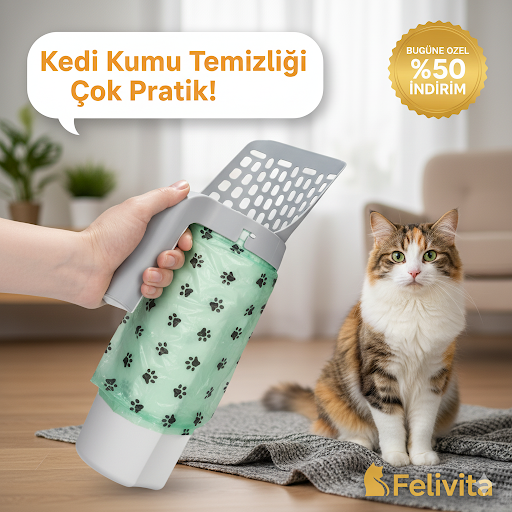 3'ü 1 Arada Akıllı Kum Temizleyici